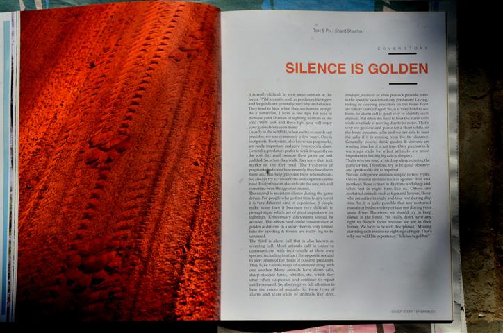 Article By Mr Shard Sharma in ENVIRON - Silence is Golden