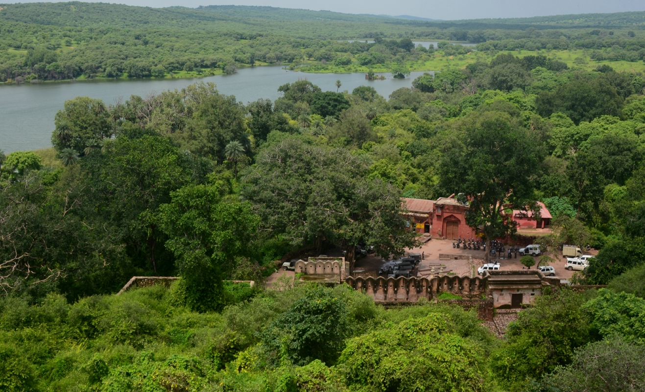 Best time to visit Ranthambhore National Park 