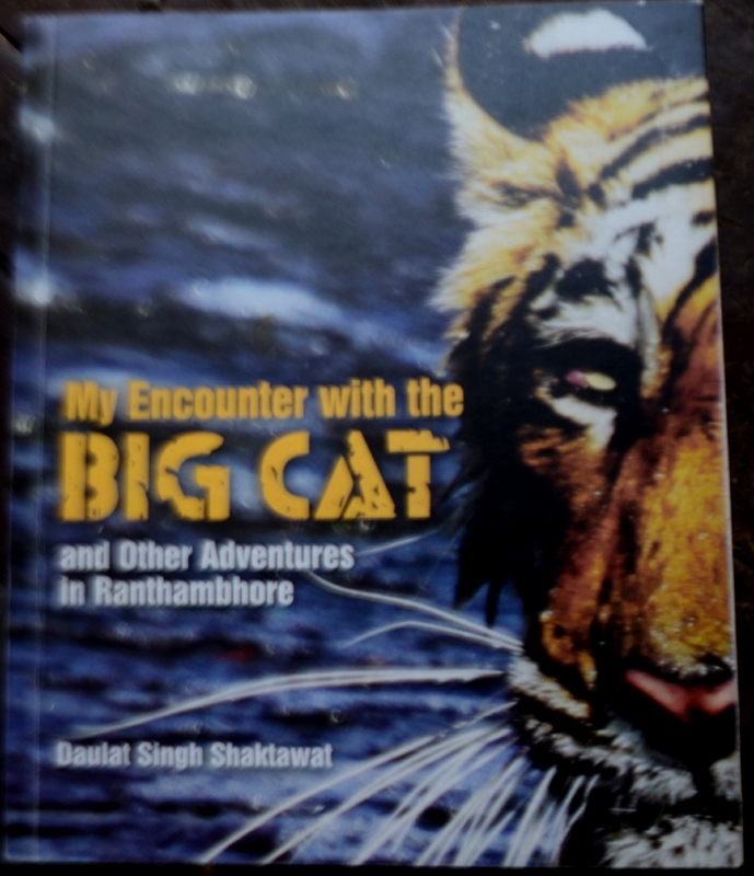 My Encounter with the BIG CAT and Other Adventures in Ranthambhore 