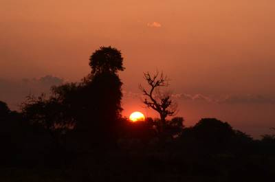 Sun set at Ranthambhore 