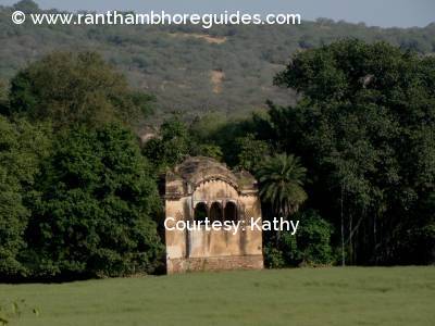 RajBag - Ranthambhore